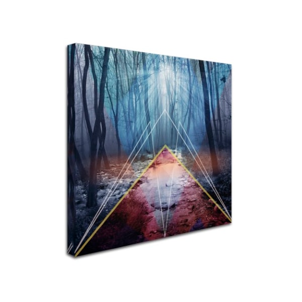 Mark Ashkenazi 'Forest 13 2' Canvas Art,24x24